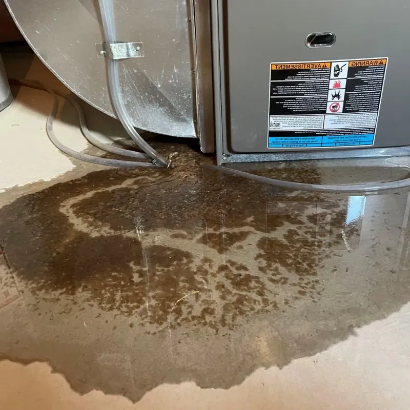 Pipe Burst and Leak Restoration in Bristol County, MA