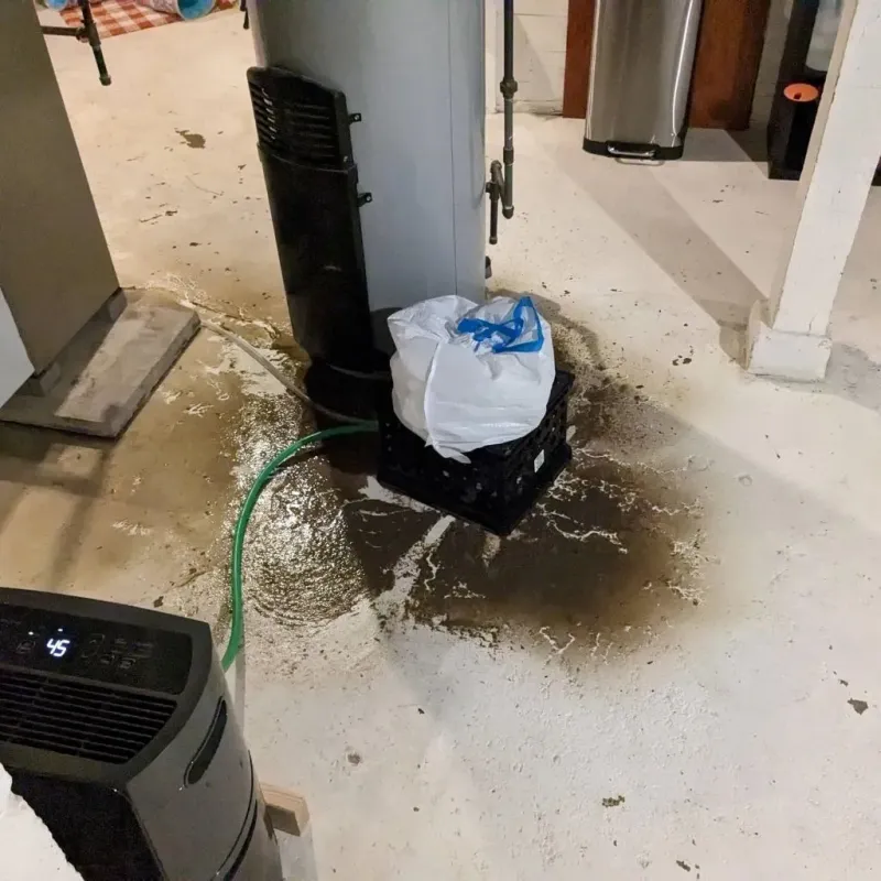 Sewage Backup Cleanup Service in Bristol County, MA